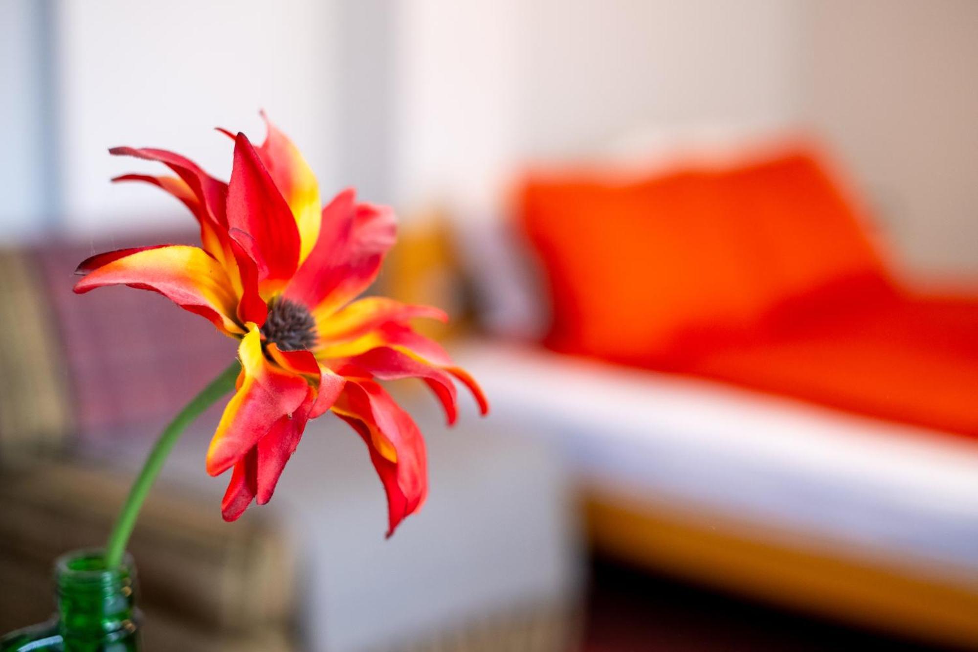 Guesthouse Rose Сараево Экстерьер фото