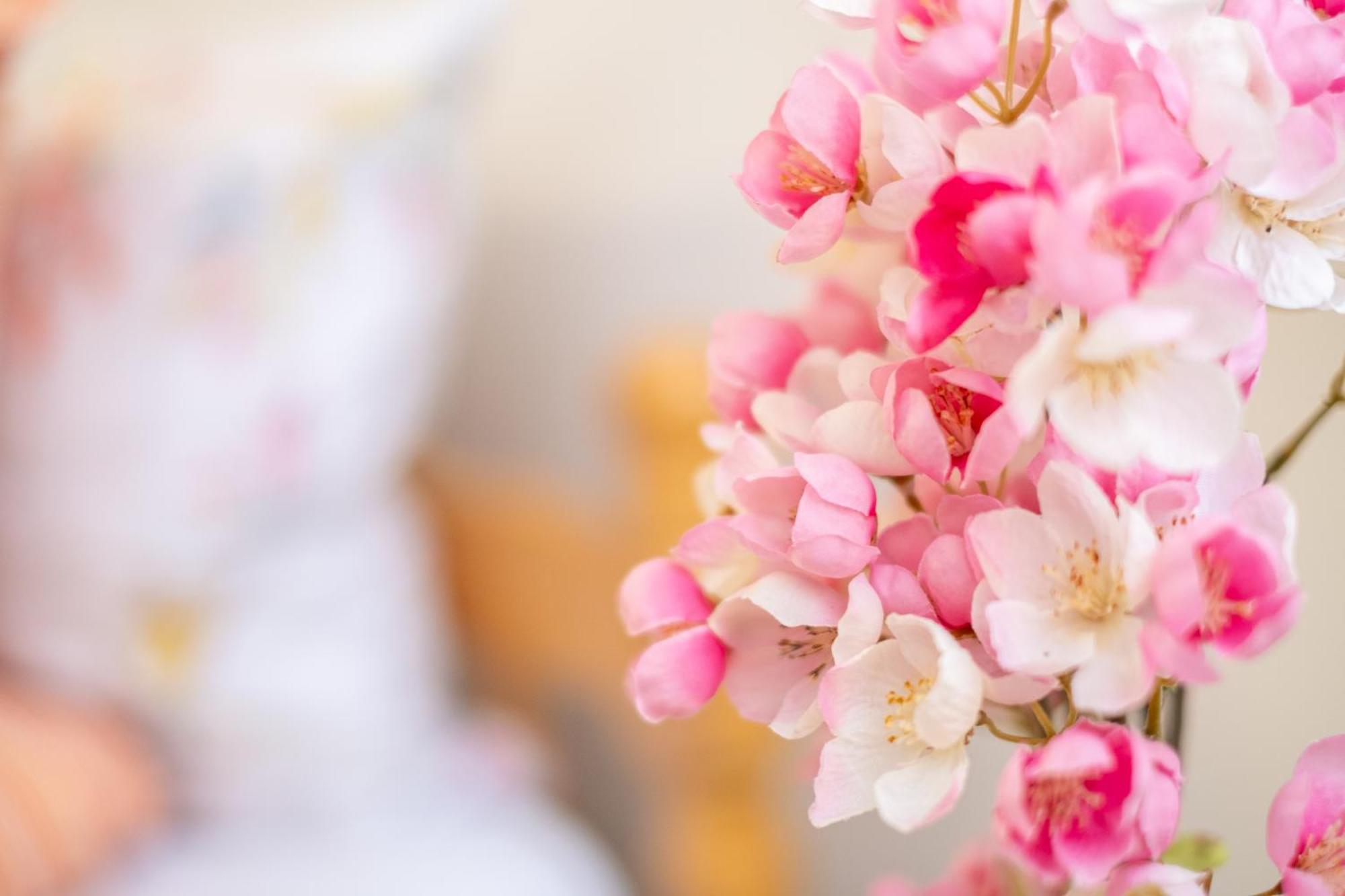 Guesthouse Rose Сараево Экстерьер фото
