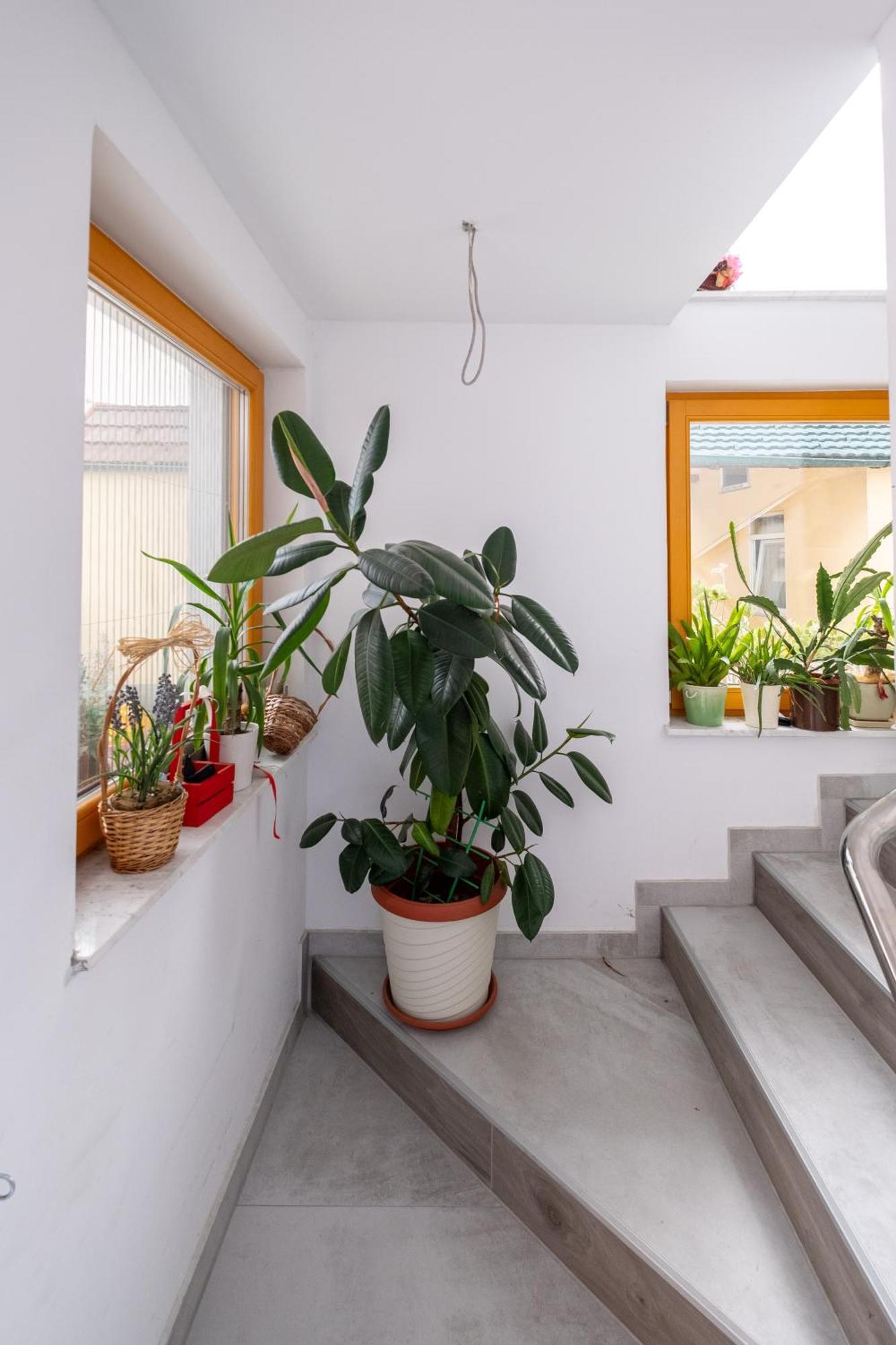 Guesthouse Rose Сараево Экстерьер фото